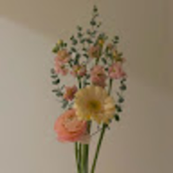 Meet your Posher, Lily - Picture 1 of 1